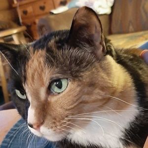 Meet your Posher, A. kendra